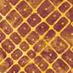 Batik Fabric-Toffee- Hand Cut off the Bolt- Sold by the 1/2 yard- Anthology Fabrics-100% Cotton Fabric